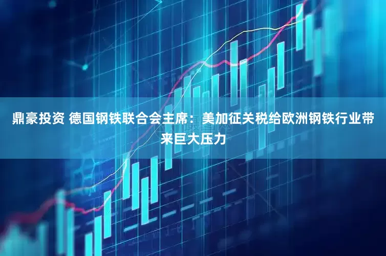 鼎豪投资 德国钢铁联合会主席：美加征关税给欧洲钢铁行业带来巨大压力