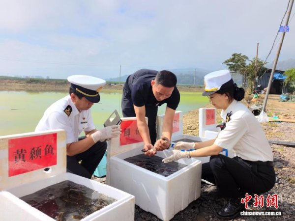 华霖资本 云南淡水鱼首次出口阿联酋
